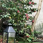 Familiale Proche Port Et 아르카숑