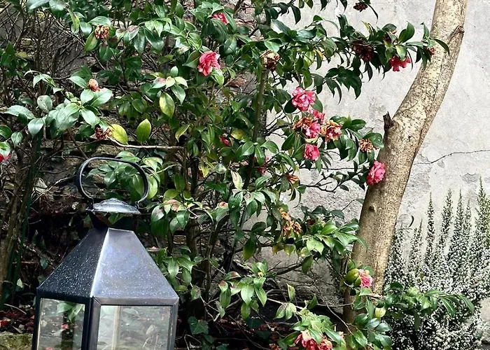Familiale Proche Port Et Arcachon